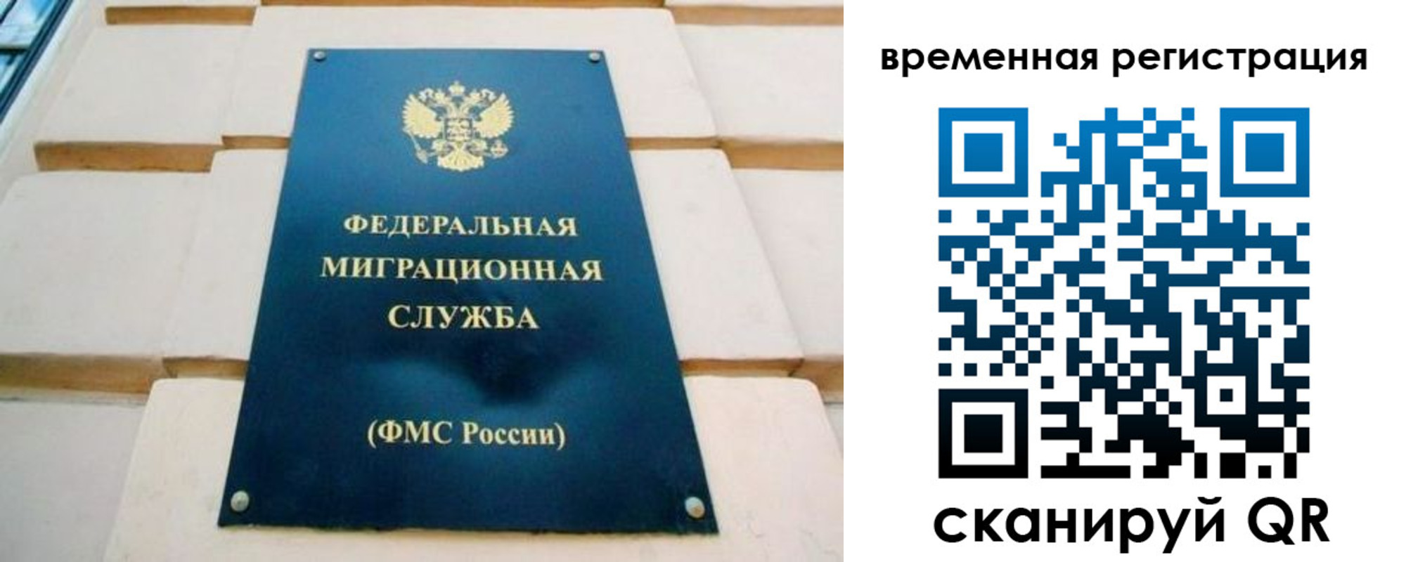 прописка гарантия в Красновишерске